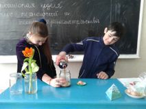 Всероссийская неделя высоких технологий и технопредпринимательства. "Проверим влияние "Кока-колы" на белки!" 6-9 классы